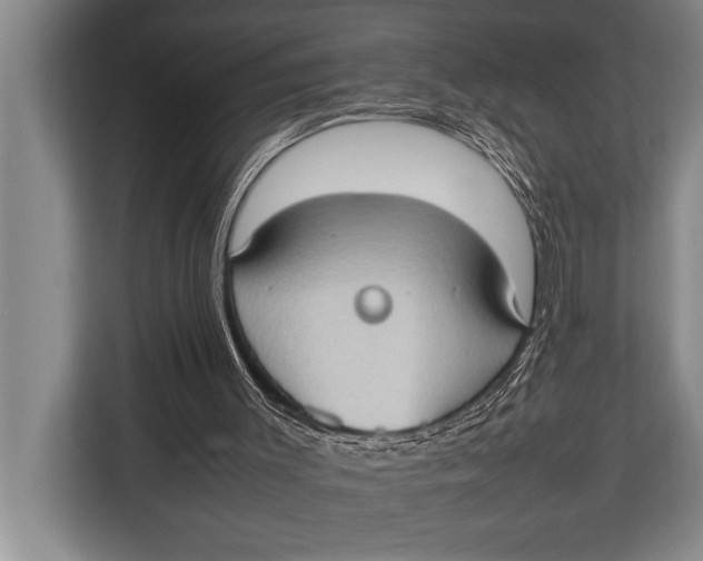 X0000113030003200909171510