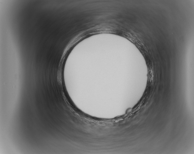 X0000113030004200909171510