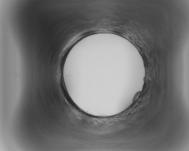 X0000113030005200909171510