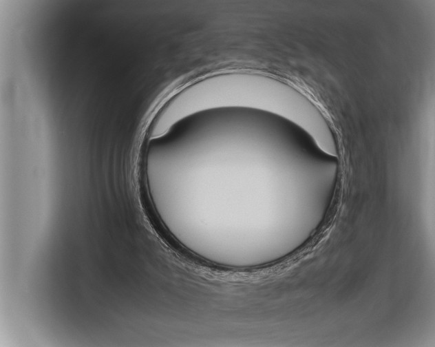 X0000113030007200909171510