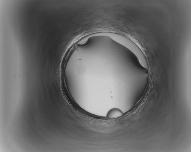 X0000113030008200909171510