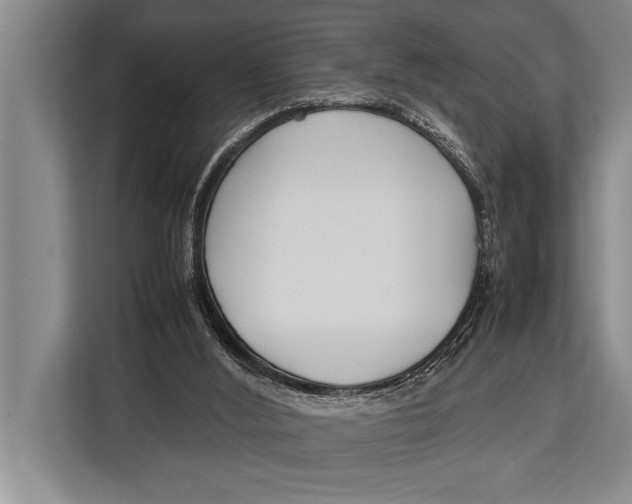 X0000113030012200909171510