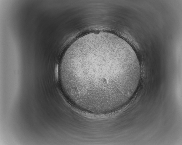 X0000113030014200909171510