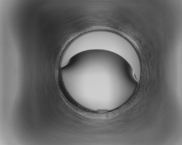 X0000113030015200909171510