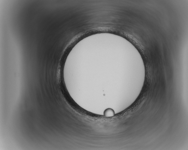 X0000113030016200909171510