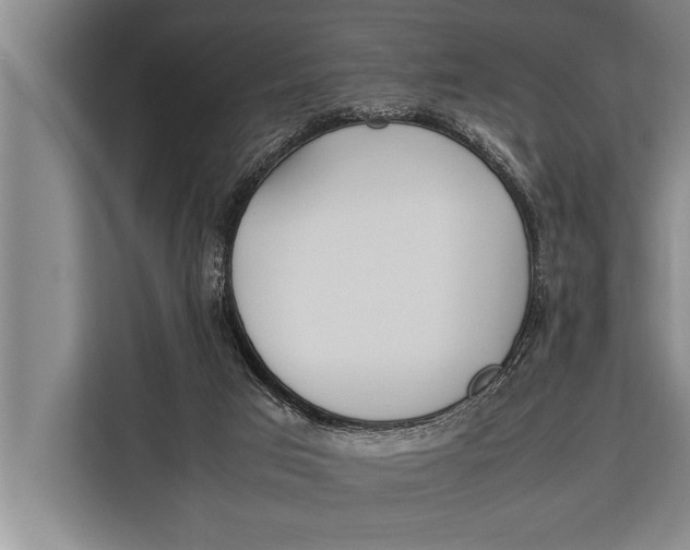 X0000113030017200909171510