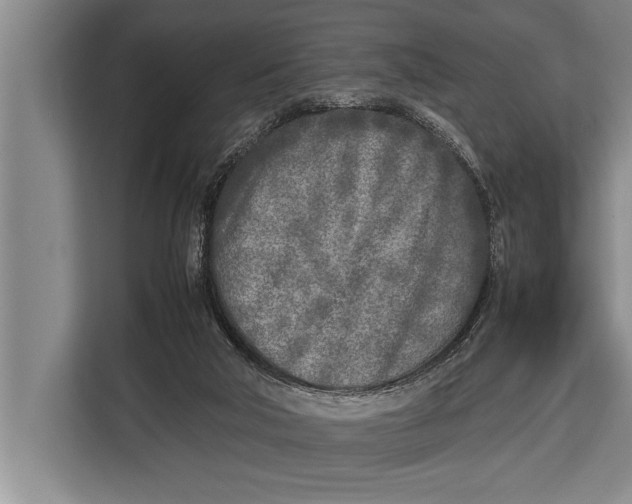 X0000113030018200909171510