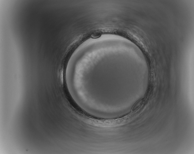 X0000113030019200909171510