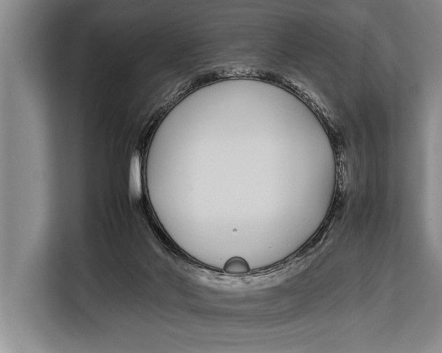 X0000113030022200909171510