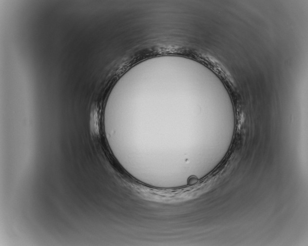 X0000113030026200909171510