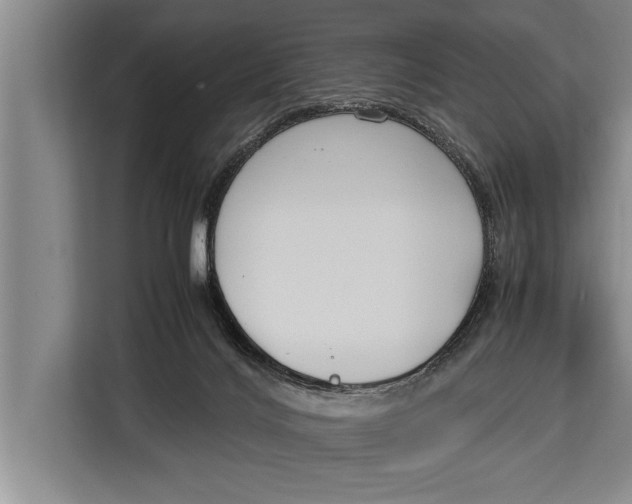 X0000113030028200909171510