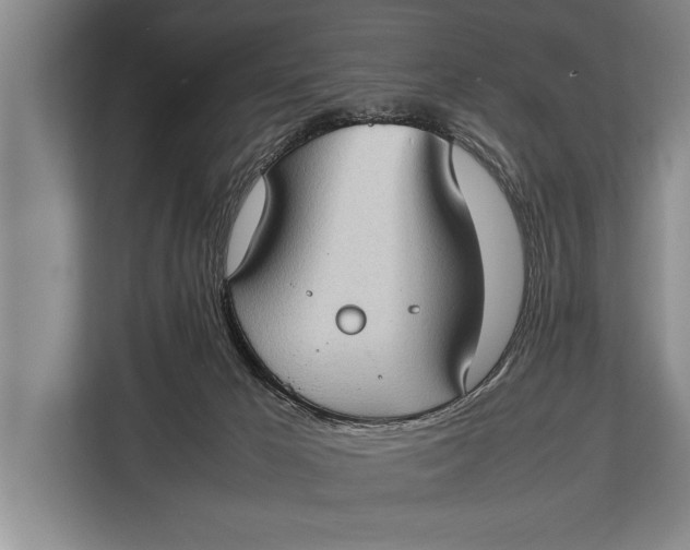 X0000113030029200909171510