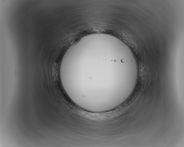 X0000113030030200909171510