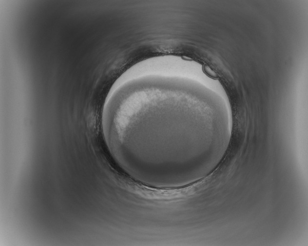 X0000113030031200909171510