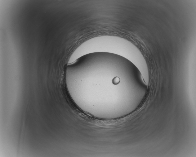 X0000113030033200909171510