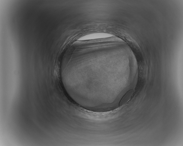 X0000113030035200909171510