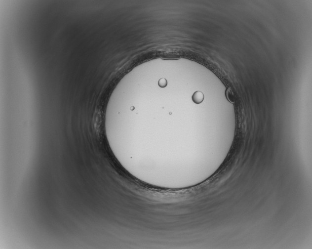 X0000113030036200909171510