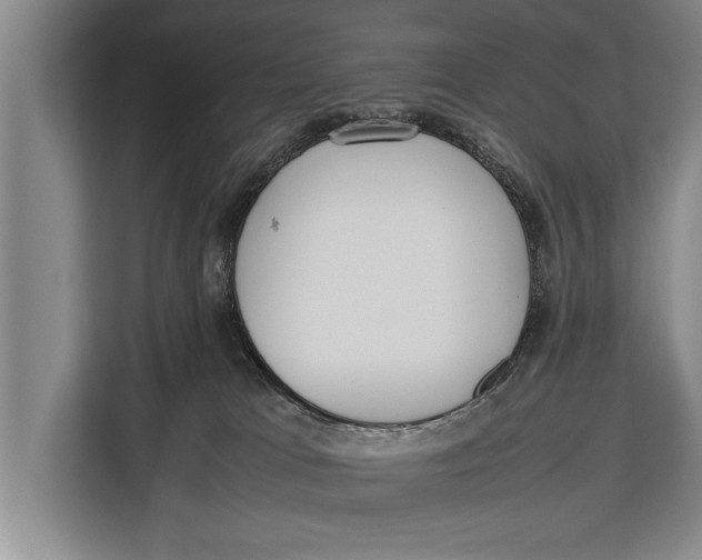 X0000113030037200909171510