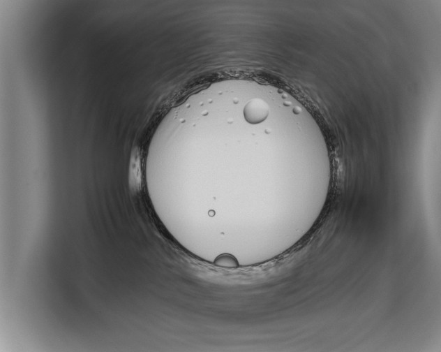 X0000113030042200909171510