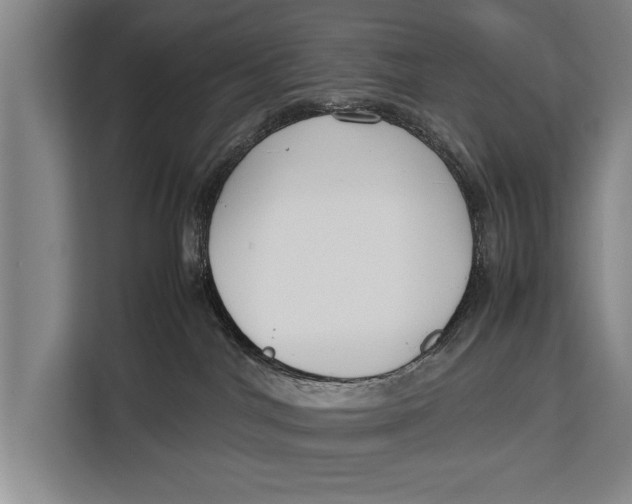 X0000113030044200909171510