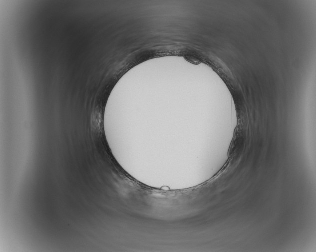 X0000113030045200909171510