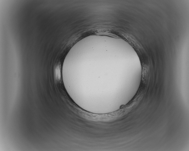 X0000113030046200909171510