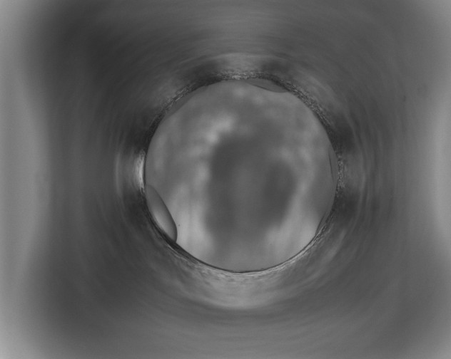 X0000113030047200909171510