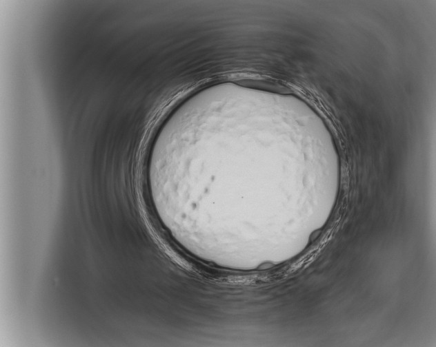 X0000113030049200909171509