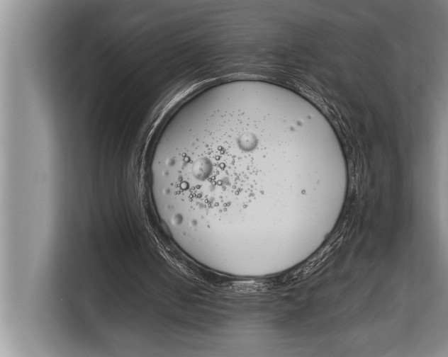 X0000113030050200909171509