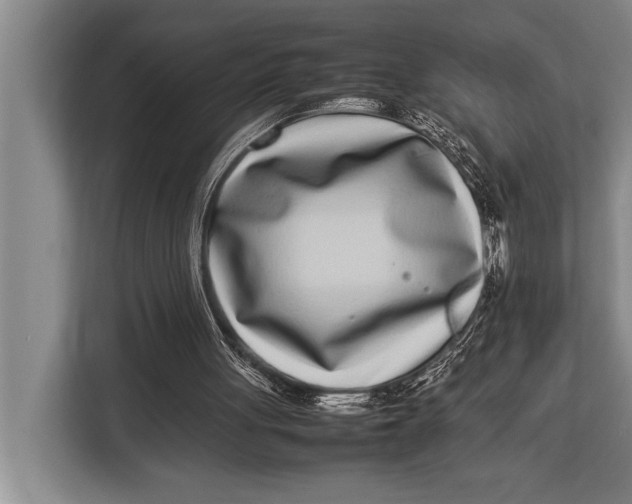 X0000113030051200909171509