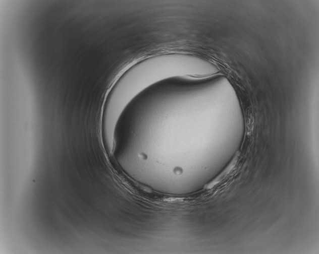 X0000113030052200909171509