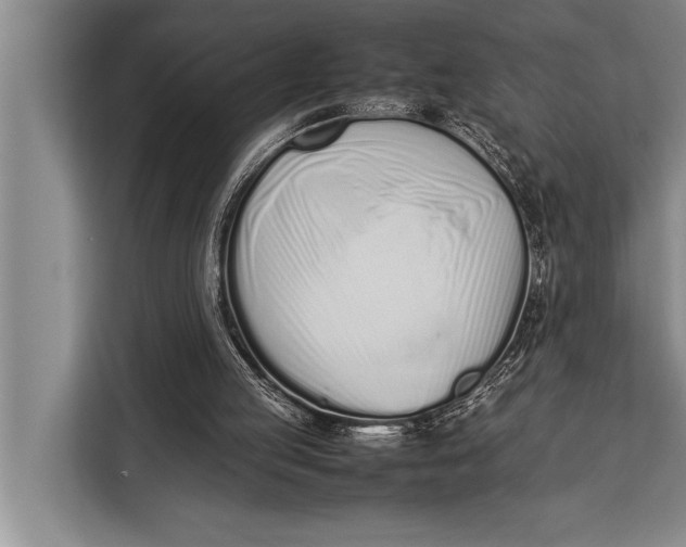 X0000113030053200909171509