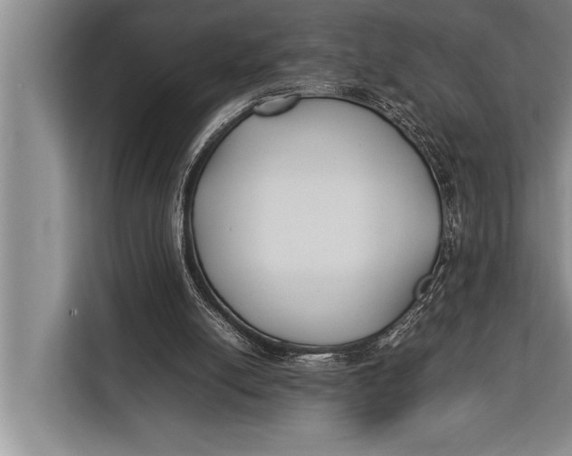 X0000113030054200909171509