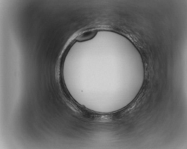 X0000113030056200909171509