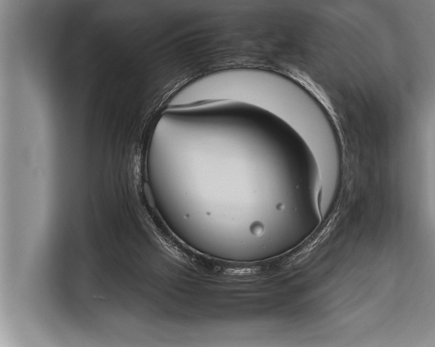 X0000113030057200909171509