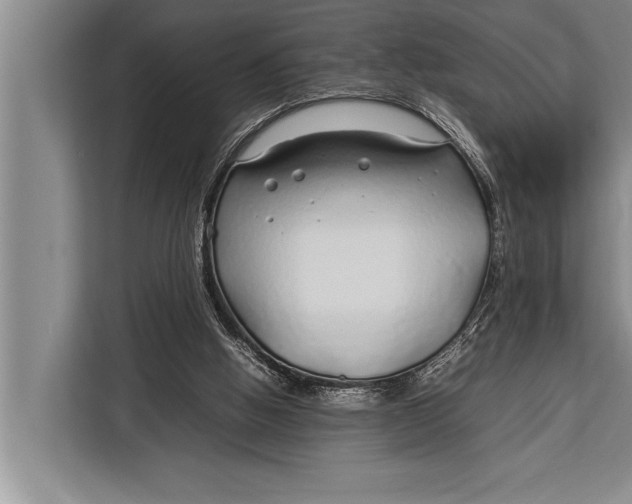 X0000113030058200909171509