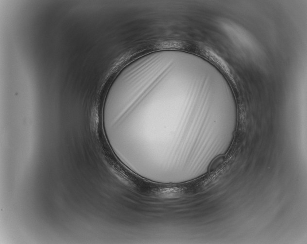 X0000113030059200909171509