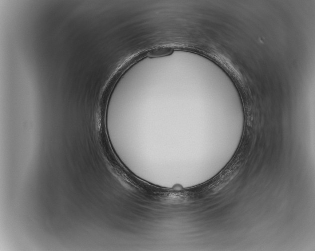 X0000113030060200909171509