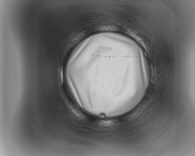 X0000113030061200909171509