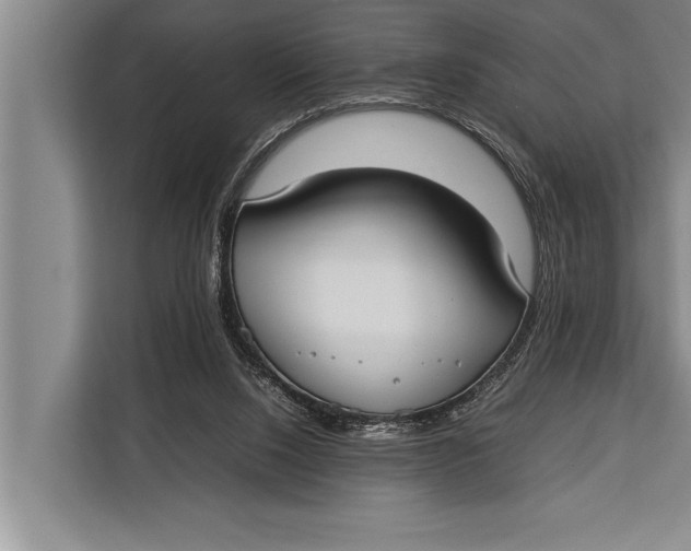 X0000113030064200909171509