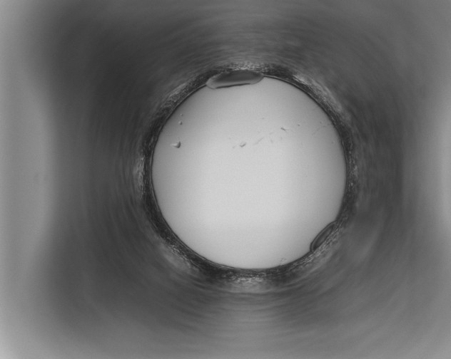 X0000113030066200909171509