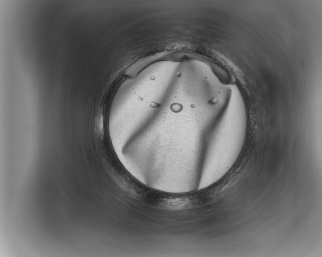 X0000113030067200909171509