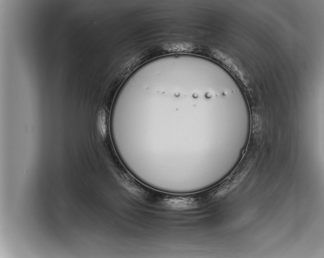 X0000113030069200909171509