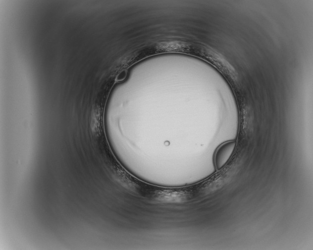 X0000113030073200909171509