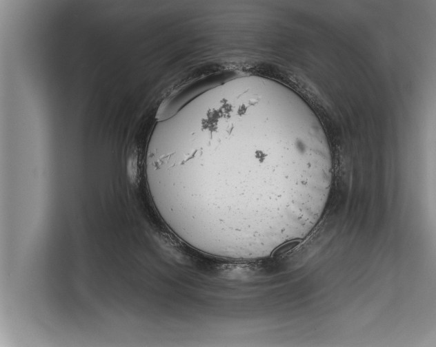 X0000113030074200909171509