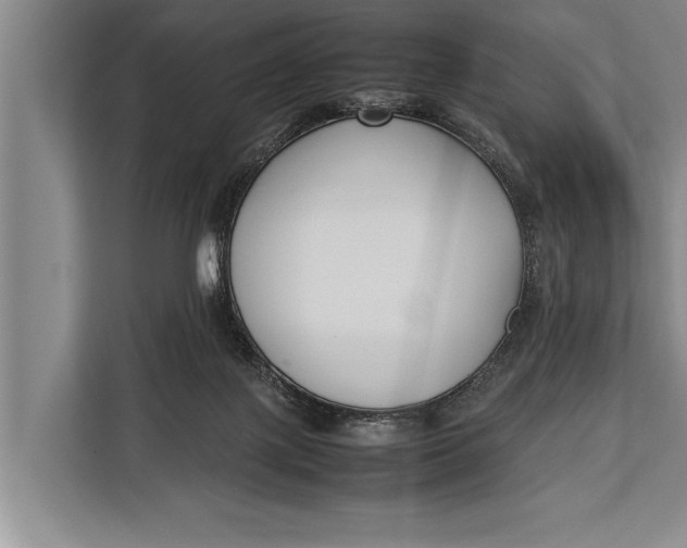 X0000113030075200909171509