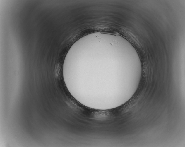 X0000113030077200909171509