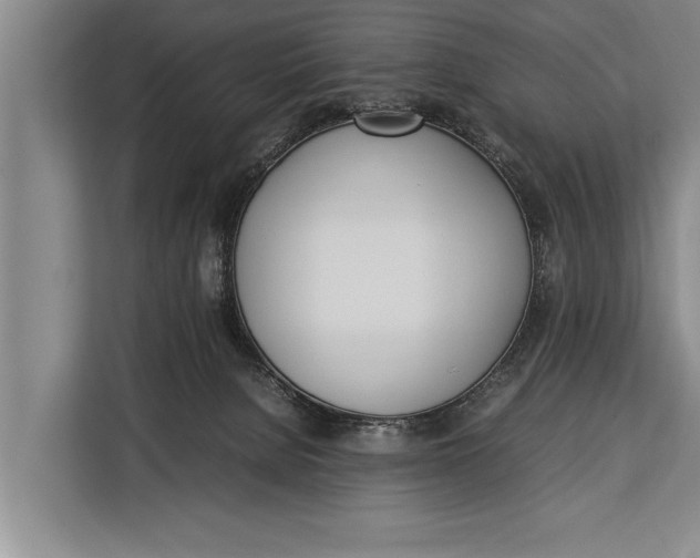 X0000113030080200909171509