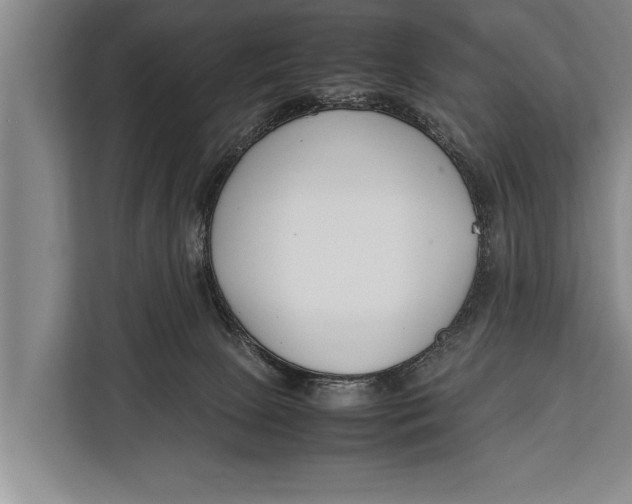 X0000113030081200909171509