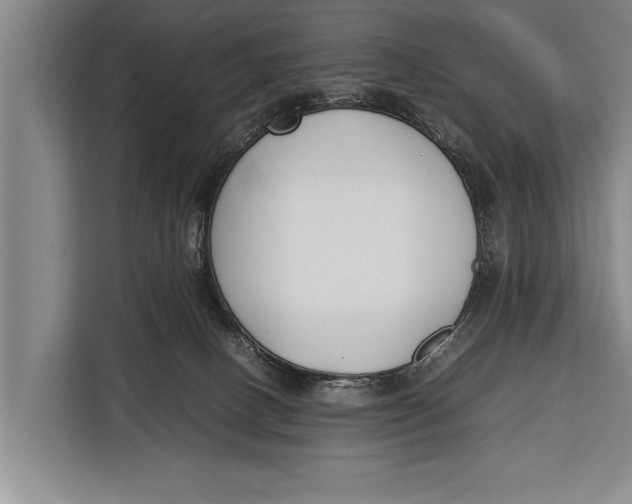 X0000113030082200909171509